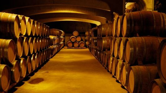 bodegas españolas